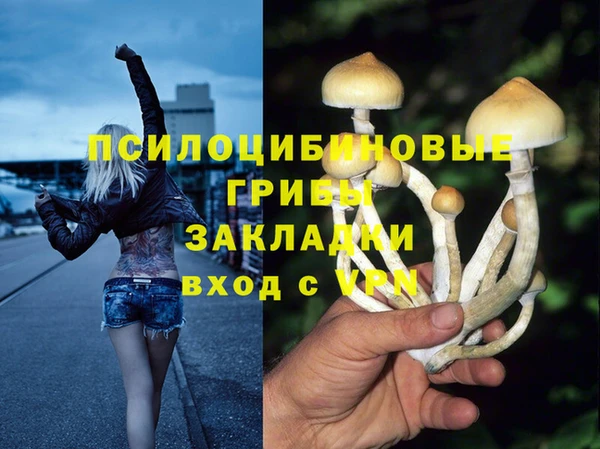 скорость Богданович