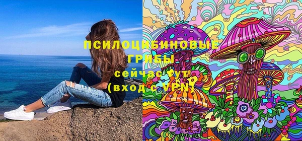 ГАЛЛЮЦИНОГЕННЫЕ ГРИБЫ Ступино