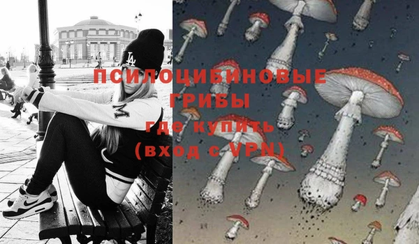 скорость Богданович