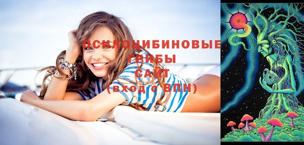 скорость Богданович