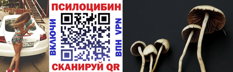 Галлюциногенные грибы Psilocybine cubensis  Кирово-Чепецк 